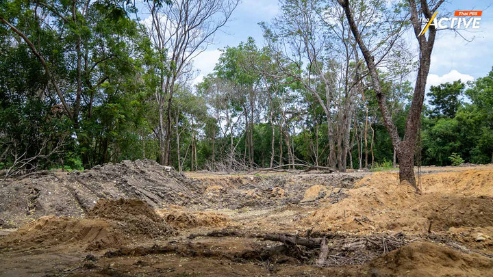 ประมาท หรือ ทุจริต ? ‘รสนา’ ถามหาคนรับผิดชอบ ปมถมดินพุทธมณฑล