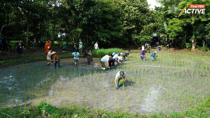 1 ทศวรรษ ‘โคกหนองนาโปรดปัน’ พื้นที่ความสุขร่วมกัน ของคนมีฝันแห่งวิถี ‘พอเพียง’