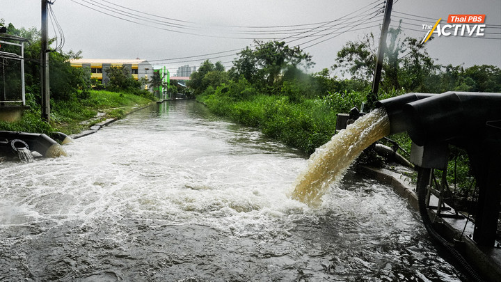‘ชัชชาติ’ รับฝนยังไม่น่าวางใจ หลายคลองน้ำวิกฤต คาดสถานการณ์คลี่คลายวันอาทิตย์นี้