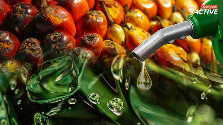 อดีตปลัดพลังงาน ชี้ “เชื้อเพลิงชีวภาพ” ทางเลือกช่วงวิกฤตน้ำมันโลก