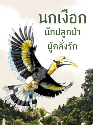 นกเงือก นักปลูกป่า ผู้คลั่งรัก