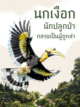 นกเงือก นักปลูกป่า ผู้คลั่งรัก