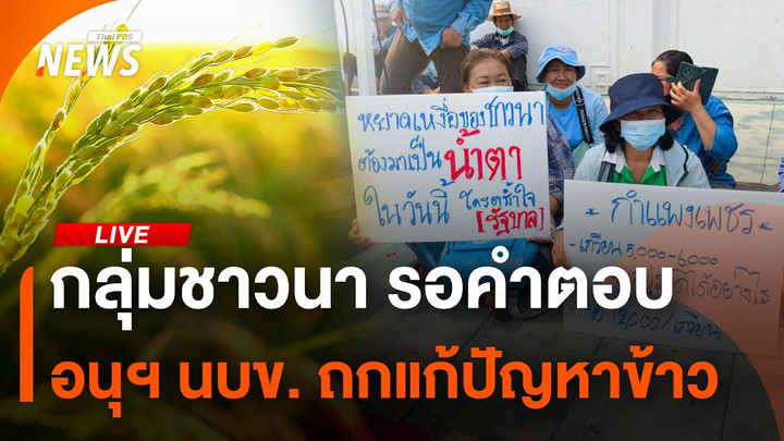 กลุ่มชาวนา รอคำตอบ อนุฯ นบข. ถกแก้ปัญหาข้าว | 20 ก.พ.68