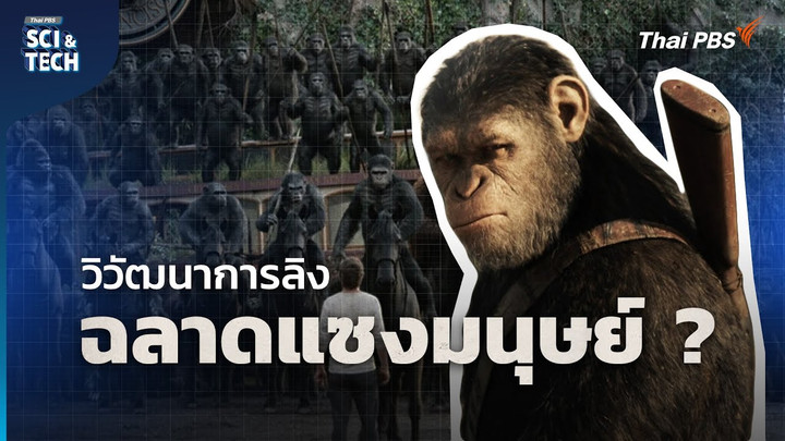 Planet Of The Apes อนาคตวิวัฒนาการลิง ฉลาดแซงหน้ามนุษย์ ?