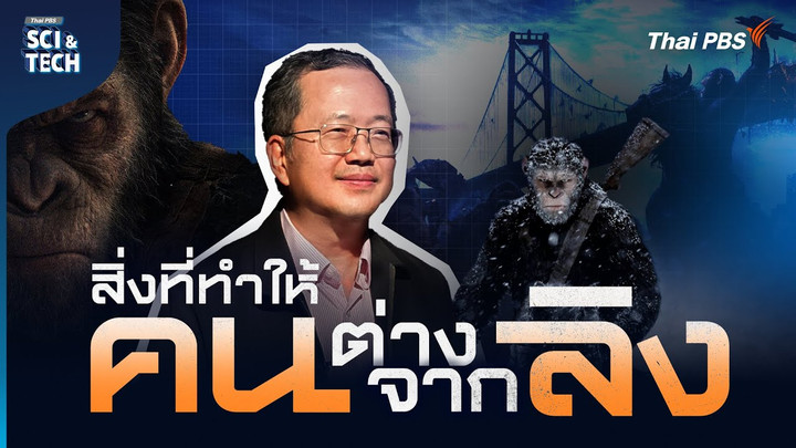 Planet Of The Apes จะเกิดอะไรขึ้น ? ถ้าหากลิง “ฉลาด” เท่ามนุษย์