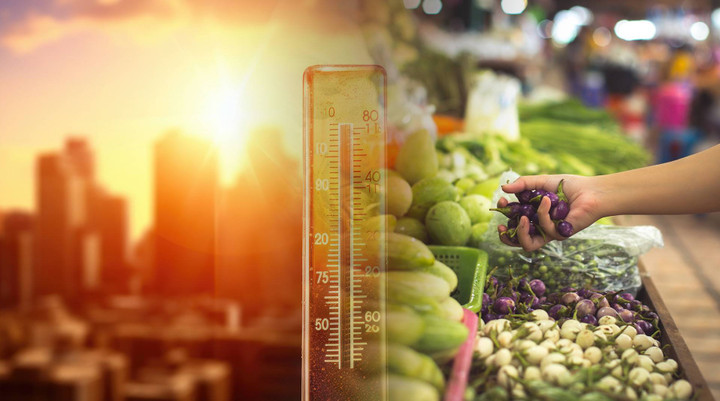 อากาศร้อน “ผักแพง” พาณิชย์ เร่งเชื่อมโยงตลาดผัก