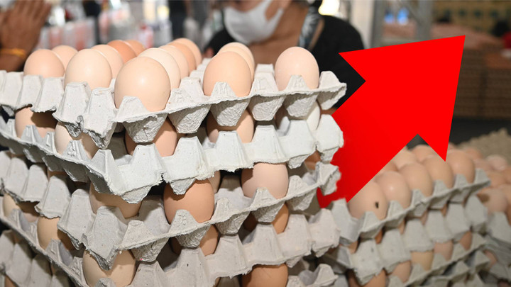 พรุ่งนี้ “ไข่ไก่” ปรับราคาแผงละ 6 บาท
