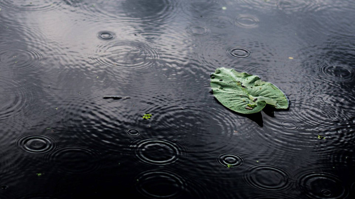สภาพอากาศวันนี้ อีสานตอนบนฝนหนักบางแห่ง ระวังน้ำท่วมฉับพลัน