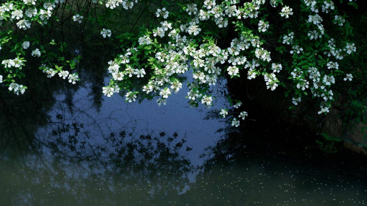 สภาพอากาศวันนี้ เหนือ-อีสานอากาศเย็นช่วงเช้า ฝนกระจายตัวมากขึ้น