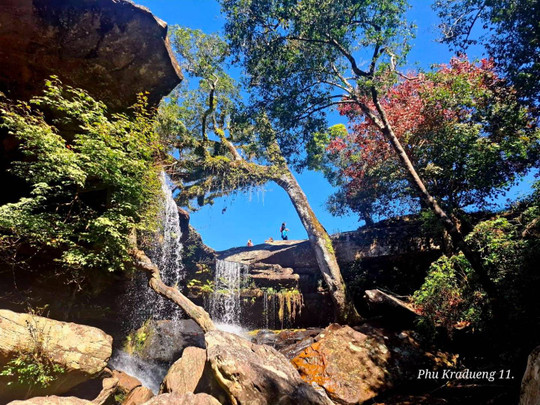 ภูกระดึงเปิดเส้นทางน้ำตก 3 แห่งเพิ่มเติม หลังปิด 1 ปีเหตุช้างป่า