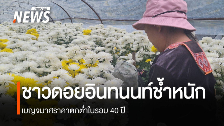 ดอกไม้ไทยราคาตกต่ำ ผลกระทบดอกไม้นำเข้าหรือชาวสวนไร้ทางสู้