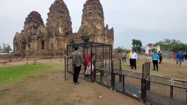 จับลิงลพบุรีชุดสุดท้าย เหลือไว้เฉพาะพื้นที่ "ศาลพระกาฬ-พระปรางค์สามยอด