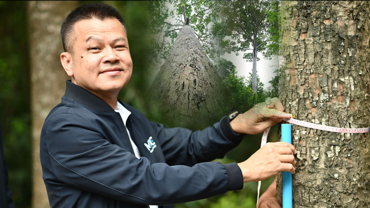 ปลดล็อกทรัพย์สินสีเขียว เกษตรกร – เอสเอ็มอีใช้ “ไม้ยืนต้น”หลักประกันสินเชื่อ