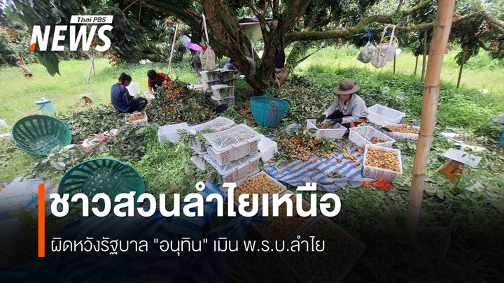 พ.ร.บ.ลำไย ถูกปัดตกชาวสวนหมดความเชื่อมั่นรัฐบาล นักการเมือง