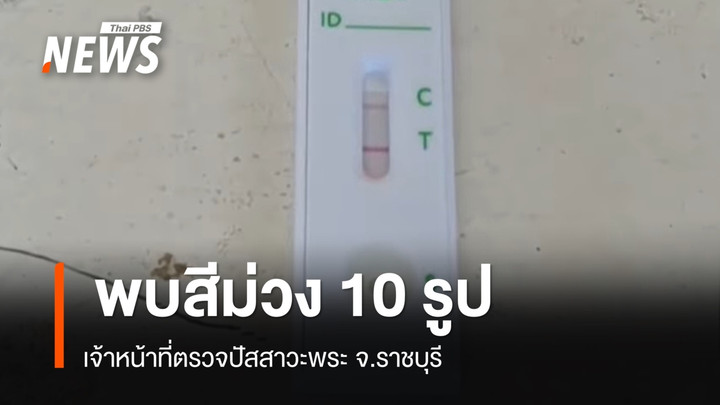 ตรวจปัสสาวะพระ จ.ราชบุรี พบสีม่วง 10 รูป ก่อนล่อซื้อยึดยาบ้ากว่า 100 เม็ด