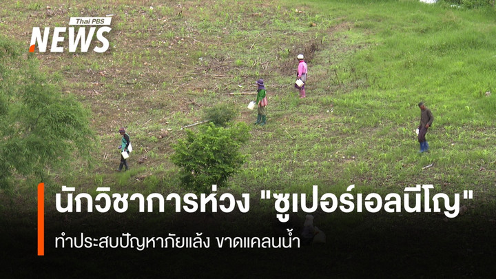 นักวิชาการห่วง "ซูเปอร์เอลนีโญ" ทำประสบปัญหาภัยแล้ง ขาดแคลนน้ำ