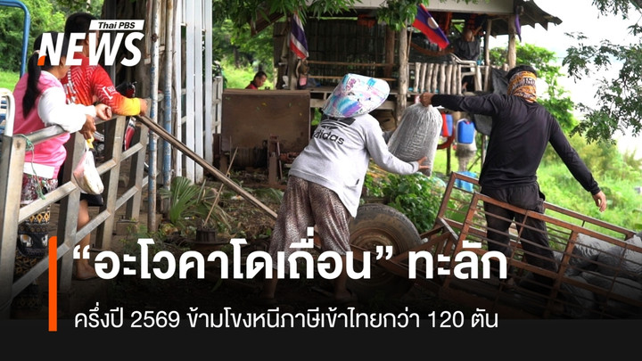 ครึ่งปี 69 “อะโวคาโดเถื่อน” ทะลักข้ามโขงเข้าไทยกว่า 120 ตัน
