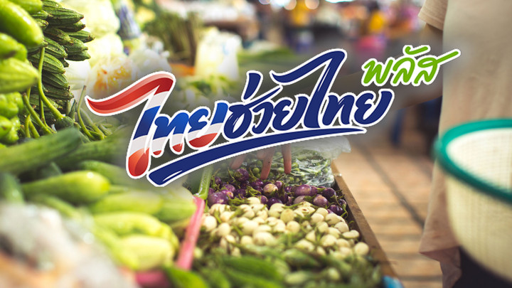 “ไทยช่วยไทย พลัส” ดันกำลังซื้อ  สนค.เผย 71 % ใช้สิทธิ ลดค่าครองชีพ
