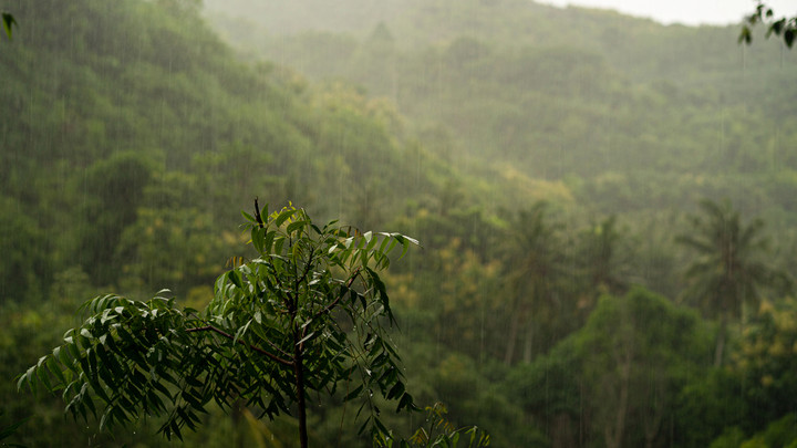 สภาพอากาศวันนี้ เตือนฝนตกหนักถึงหนักมาก เหนือ-อีสาน-ตะวันออก ระวังน้ำท่วมฉับพลัน