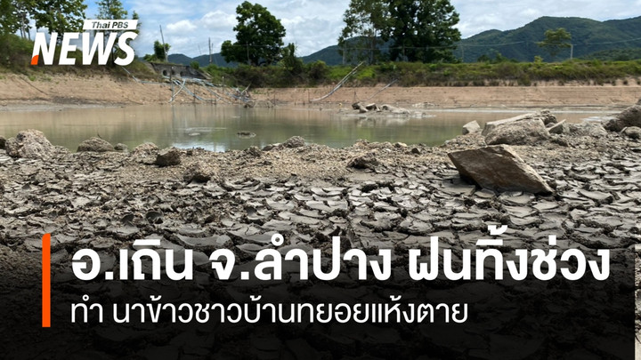 อ.เถิน จ.ลำปาง ฝนทิ้งช่วง ทำนาข้าวชาวบ้านทยอยแห้งตาย