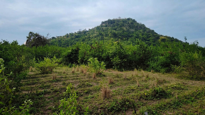 Phetchaburi villagers protest dolomite mining near World Heritage Site