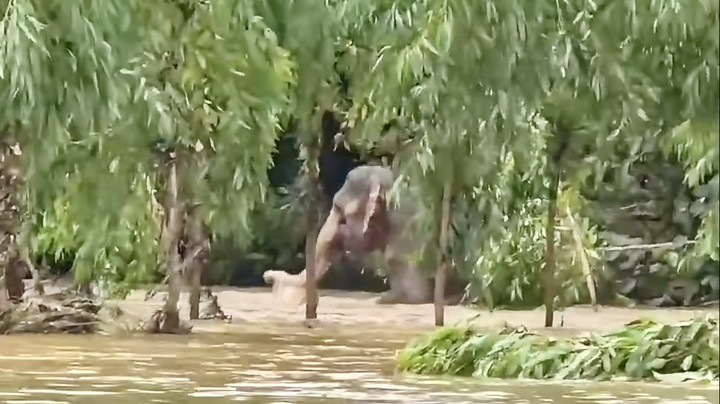ผลักดันโขลงช้างป่าหนีน้ำท่วมเข้าชุมชน พบ “พังชูใจ” ช้างป่าพิการ ล่าสุดแข็งแรงดี 