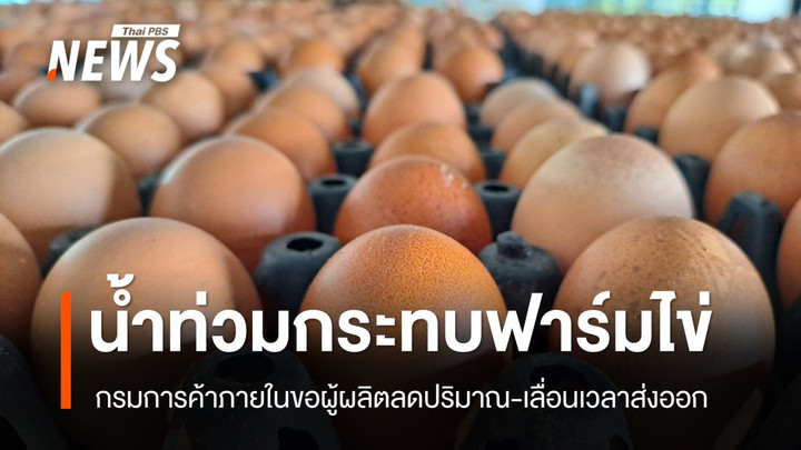 กรมการค้าภายในแก้สถานการณ์ไข่ไก่ ขอให้ชะลอการส่งออกไปก่อน หลังฟาร์มบางแห่งถูกน้ำท่วม 