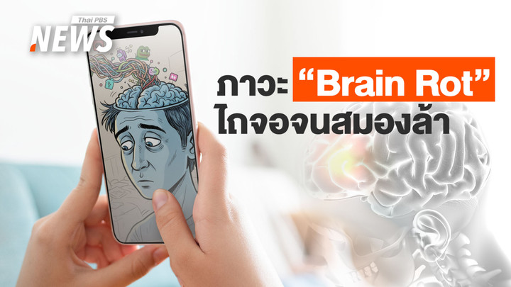 ไถจอจนสมองล้า เปิดภาวะ "Brain Rot" ภัยเงียบยุคดิจิทัล