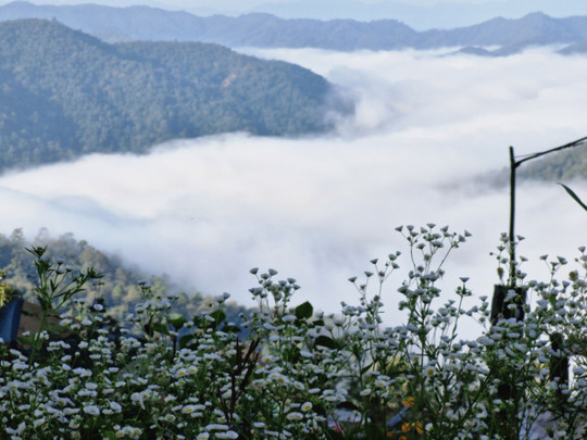 สภาพอากาศวันนี้ "เหนือ-อีสาน" อากาศเย็น-หนาว ภาคใต้ตอนล่างฝนฟ้าคะนอง
