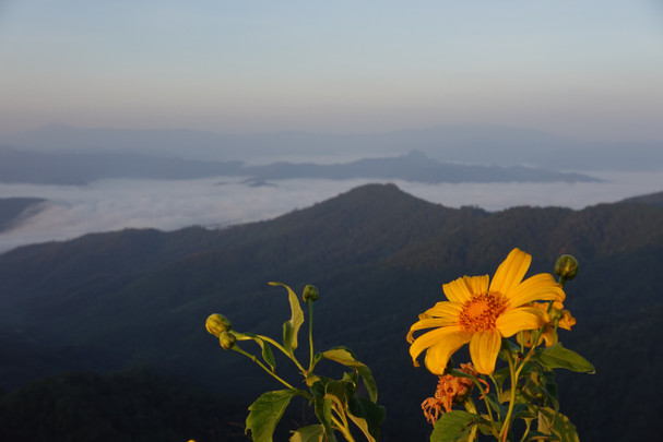 สภาพอากาศวันนี้ ไทยตอนบนอากาศเย็น-หนาว  ภาคใต้ฝนฟ้าคะนองบางแห่ง 