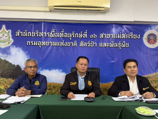 สบอ.16 สาขาแม่สะเรียง แถลงชี้แจงปม "ทำไม้" กลางป่าอนุรักษ์