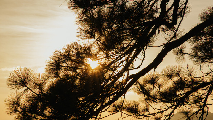 สภาพอากาศวันนี้ ไทยตอนบนอุณหภูมิสูงขึ้น เหนือ-อีสานอากาศเย็นตอนเช้า