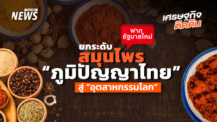 กลุ่มอุตฯสมุนไพร ฝาก รัฐบาลใหม่  ยกระดับสมุนไพร“ภูมิปัญญา” สู่ “อุตสาหกรรม”