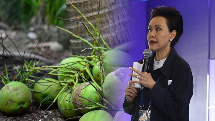 "ศุภจี" เล็งหารือสมาคมมะพร้าวน้ำหอม ผุด "ล้งกลาง" แก้ราคาตกต่ำ