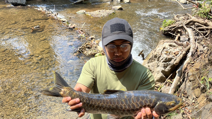 เตือนงดกิน "ปลาพลวง" ลอยตายในลำน้ำลาง เร่งหาสาเหตุ