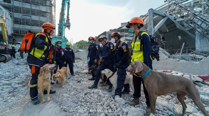 1 ปีตึก สตง.ถล่ม “K9 สี่ขากู้ภัย“ ยังเดินหน้าฝึกหนัก “เสียงเห่า” คือความหวังแห่งชีวิต