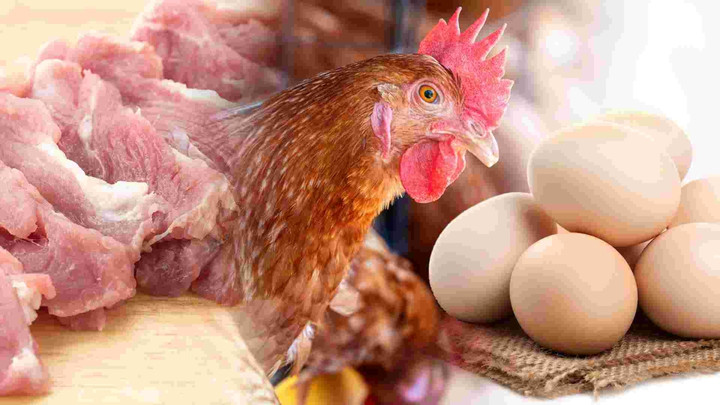 นัดถก “หมู-ไก่-ไข่” 2 เม.ย.นี้ คน.เกาะติดผลผลิตไม่ผลักภาระถึงผู้บริโภค