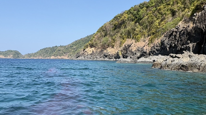 เตือน "แมงกะพรุนไฟ" กระจายตัวหนาแน่นที่เกาะแอว ภูเก็ต