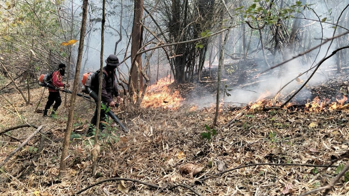 เปิดงบฯ ย้อนหลัง 2 ปี “กรมอุทยานฯ - กรมป่าไม้” สู้ไฟป่า-หมอกควัน