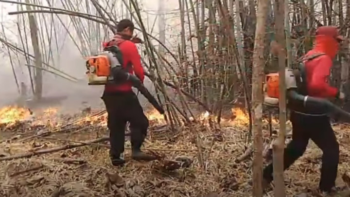 ไฟป่าภาคเหนือยังปะทุ "เจ้าหน้า-ทหาร" ประสานความร่วมมือดับไฟ