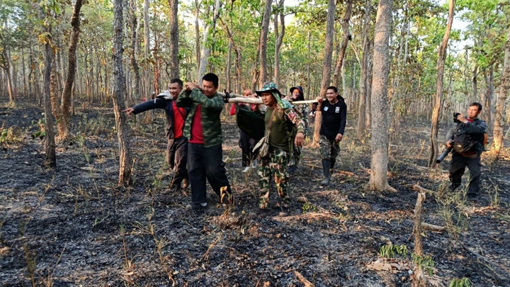 "สุชาติ" ห่วงใยเจ้าหน้าที่ไฟป่า สั่งดูแลเต็มที่หลังบาดเจ็บขณะปฏิบัติหน้าที่