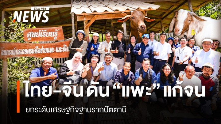 ไทย-จีน จับมือดัน "แพะ" โมเดลแก้จน ยกระดับเศรษฐกิจฐานรากปัตตานี 