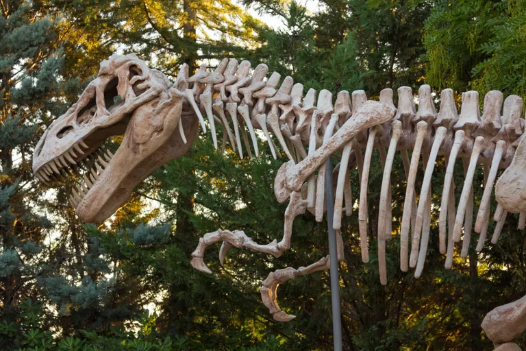 “ทีเร็กซ์” หรือ “ไทแรนโนซอรัส” (Tyrannosaurus Rex : T-Rex)