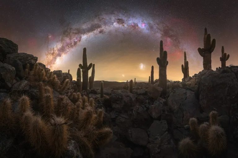 ‘Valle de los Cactus (หุบเขากระบองเพชร)’ โดย Pablo Ruiz ถ่ายที่เมือง San Pedro de Atacama ชิลี