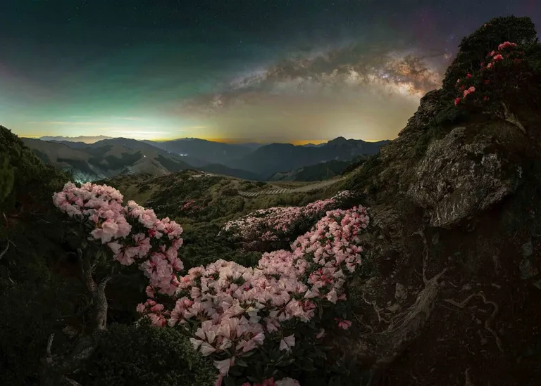 ‘Blossom (เบ่งบาน)’ โดย Ethan Su ถ่ายที่จุดดูดาว Hehuan Mountain Dark Sky Park ไต้หวัน
