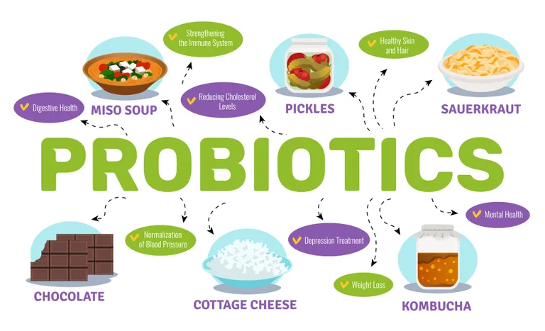 โพรไบโอติกส์ (probiotics)