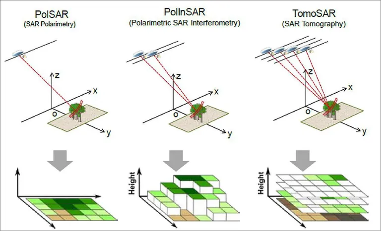 ภาพเปรียบเทียบ 3 กระบวนการของดาวเทียม Biomass ด้วยกระบวนการ SAR เพื่อสร้างภาพ 3 มิติของเรือนไม้ ภาพจาก ESA