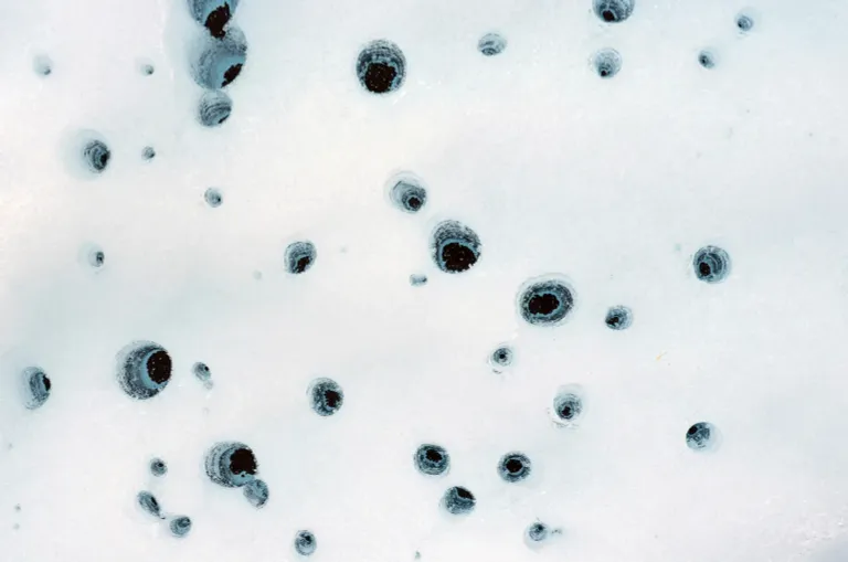 ภาพถ่ายของหลุม Cryoconite ที่ธารน้ำแข็ง Matanuska ในรัฐอะแลสกา ปี 2012 ซึ่งหลุมเหล่านี้เกิดจากการละลายของธารน้ำแข็งจากฝุ่น ภาพถ่ายโดย Kimberly Casey