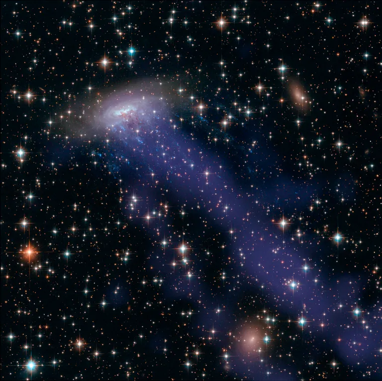 ภาพถ่ายของดาราจักรรูปแมงกะพรุน ESO 137-001 ซึ่งคาดว่าเส้นสายที่ยืดยาวออกจากอวกาศอาจเกิดจากปรากฏการณ์น้ำพุเวียนนี้ก็ได้