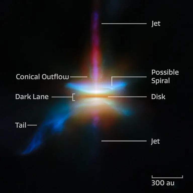 ภาพ “จานดาวเคราะห์ก่อนเกิด” จากกล้องฯ เจมส์ เว็บบ์ ภาพจาก ESA,Webb, NASA & CSA, Tazaki et al.